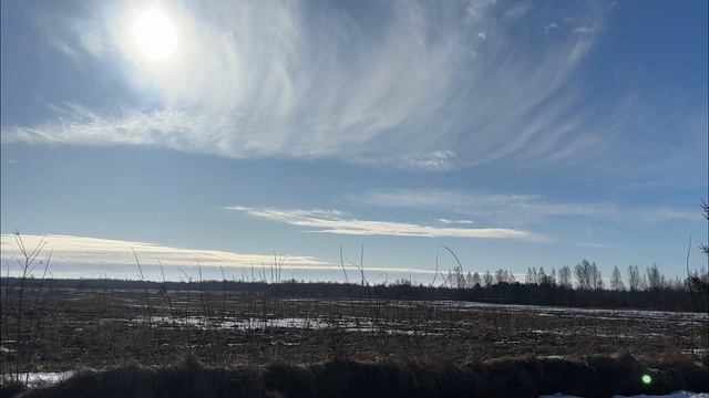 Песчанка смотреть онлайн