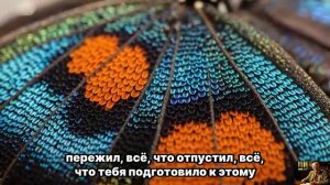 НЕЖНОСТЬ: Разреши себе быть слабой, мягкой и принимать заботу