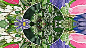 С Днём Рождения 5! Ландышевая Сказка от Киностудии Мудрого Кота Тимофея!!!