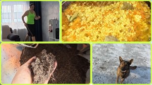 04.03.2026 // Готовлю обед // Незапланированная поездка // Приготовила грунт для перцев