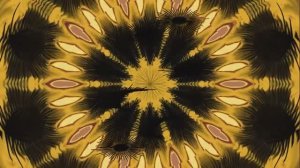 Сборник песни и музыка ритмичная