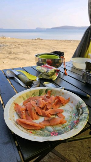 Посиделки у костра