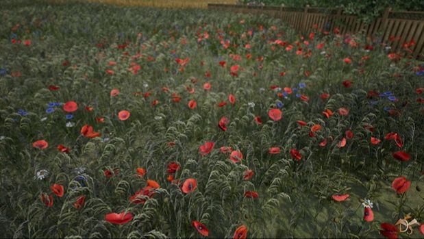 Flowers and Plants Nature Pack (Overview Demo Scene) смотреть онлайн