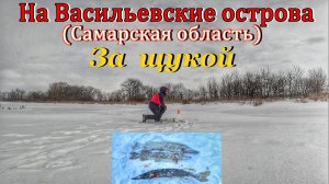 ЗА ЩУКОЙ НА ВАСИЛЬЕВСКИЕ ОСТРОВА/ЛОВЛЯ ЩУКИ НА ВОЛГЕ /РЫБАЛКА НА ЖЕРЛИЦЫ /ЩУКА ЗИМОЙ/ЗИМНЯЯ РЫБАЛКА