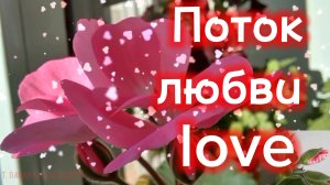 Счастье вам. Вечной молодости. С праздником! Милые женщины!