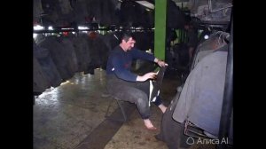 Ожившие фотографии 4