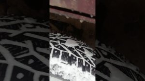 VID_20260305_072155.mp4