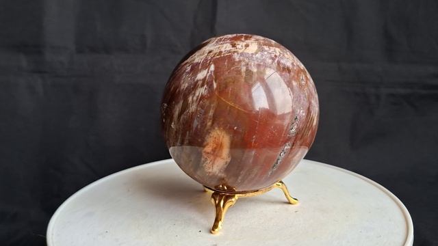 Окаменелое дерево 8,5 см