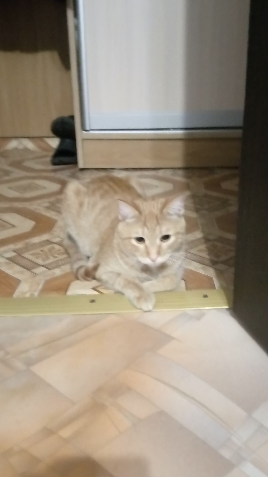 Звоню ноунейму 666