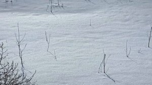 Зима 26 Последний день... Оренбург Видео Виктор Поживин