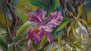 Натюрморты   *   Художник   Vie Dunn Harr