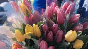 Очевизор. Признак весны и праздника