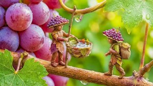 Крошечный Лиф исследует волшебный виноградный сад — миниатюрное фантастическое приключение