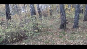 "Отдыхаем в Михалёво"