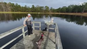 America′s Funniest Home Videos. Best TikToks