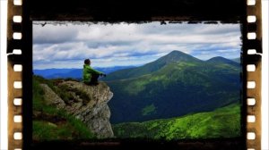 Гора Говерла и дерево Дикий  тик !