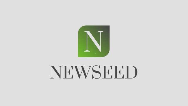 ОБЗОР ГИБРИДОВ ПОДСОЛНЕЧНИКА NEWSEED