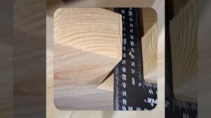 1000050164.mp4 (Собака наблюдает за устройством лестницы на 2-ой этаж в доме А-фрейм)