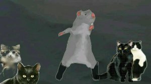 Крыса и кошки