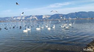 Путешествие на Юг России. Тайна Суджукской косы