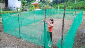 Прополка, рыхление, создание грядок и ограждений доя них. Подготовка почвы к посадке под зиму. Нхат