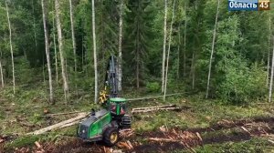 ТВ: Как проверяют древесину на экспорт в лаборатории Курганского филиала ЦОК АПК