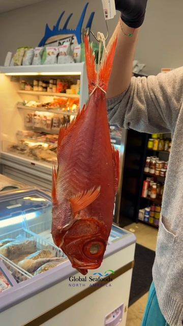 Деликатес за 0 — Dry Aged красный снаппер из Японии