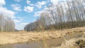 Охото Томский район 2018 год