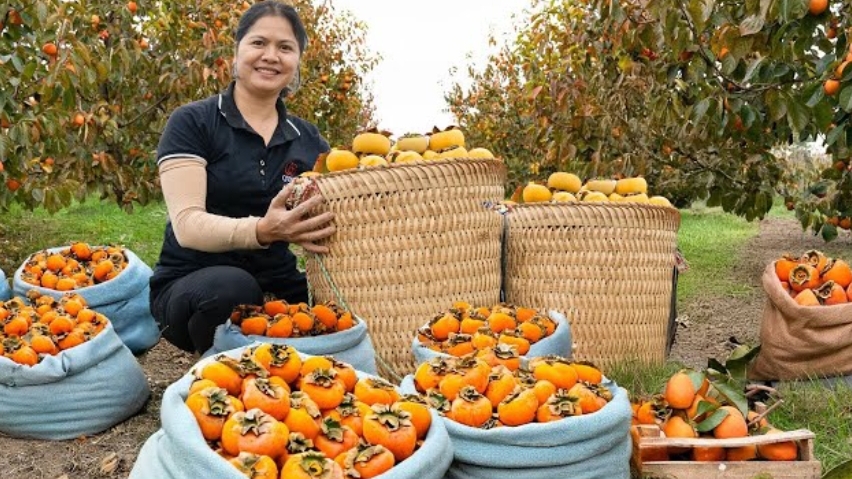 Последний урожай хурмы, собираю для продажи на рынке. Готовлю вкусную выпечку.
