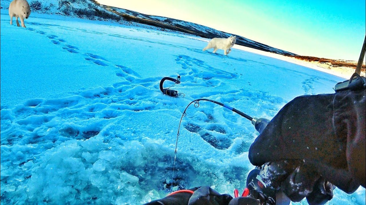 Лучшая Зимняя Рыбалка. Ловим Окуней, Сорогу Попался Хариус. Лучшие Зимние Забавы. Сибирь - Сибирия