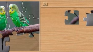 Домашний питомцы