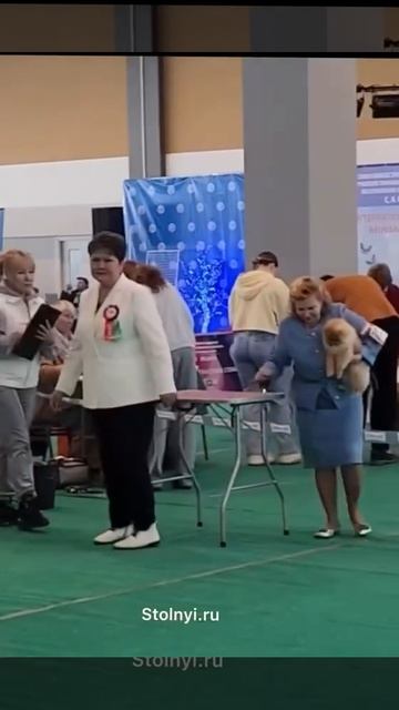 Беларусь выступление