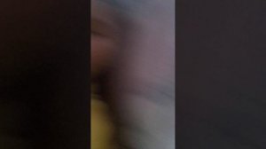 я пробую вкусняшки