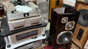 Усилитель Authentic TERA & Victor ZERO-fx9