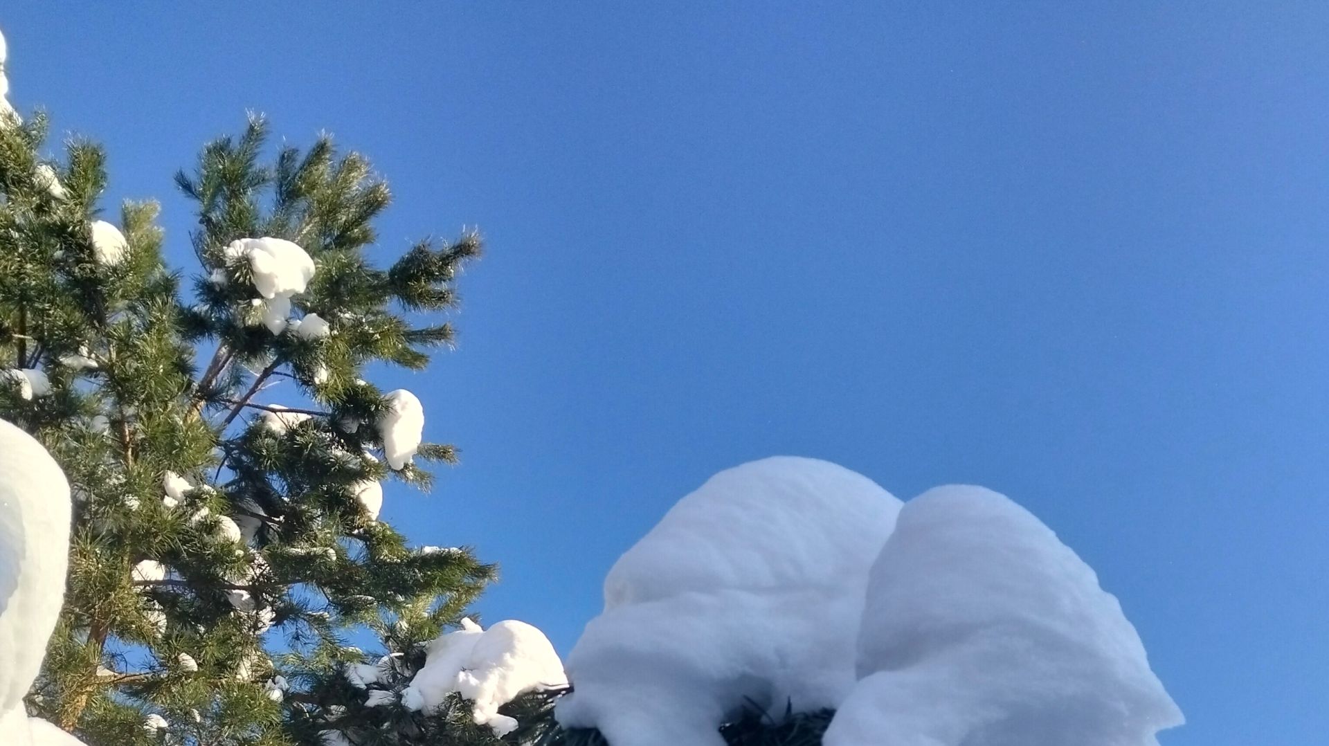 #Читаетавтор. Ода зиме.