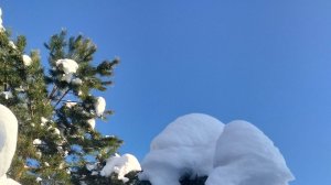 #Читаетавтор. Ода зиме.