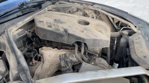 ДОНОР 562 GENESIS G70