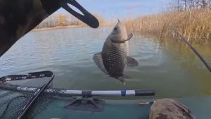 ВОТ ЭТО РЫБАЛКА В НОЯБРЕ! Я И НЕ ДУМАЛ ЧТО ТАКОЕ ВОЗМОЖНО! Рыбалка на поплавок.