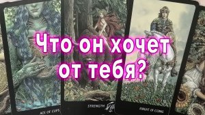 Это любовь? Что он хочет от тебя? Таро для женщин Гадание Расклад