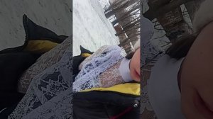 как я оделась в школу