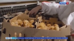 "Вести. Сахалин. Курилы". 4 марта 2026 года