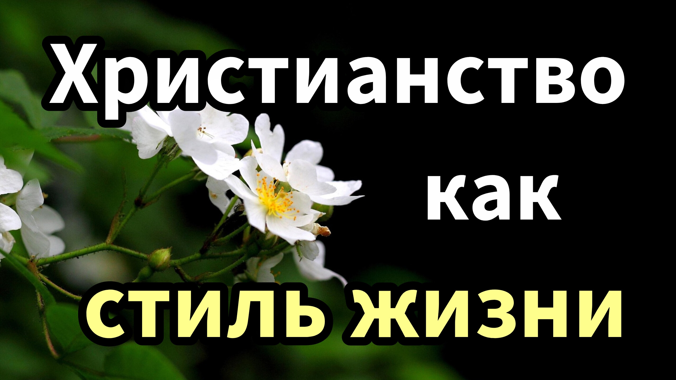 Не наблюдаешь ли ты это за собой?