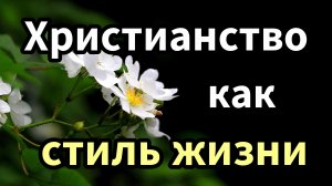 Не наблюдаешь ли ты это за собой?