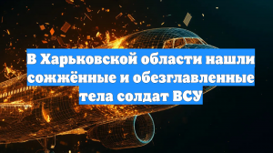 В Харьковской области нашли сожжённые и обезглавленные тела солдат ВСУ