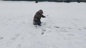 VID_20260306_114444_546