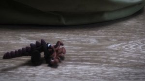 белый годзилла Эдит