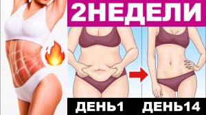 Пресс за 2 недели. Тренировка пресса дома.