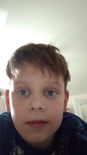 всем хай нах