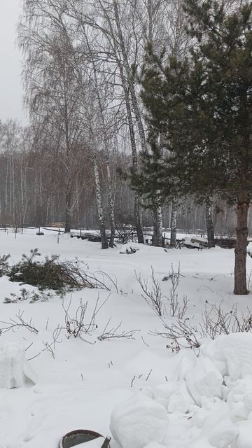 Весна в Сибири 😁