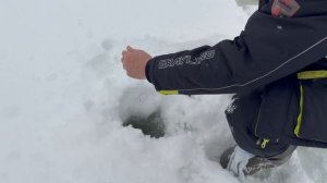 Вываживание форели на малька